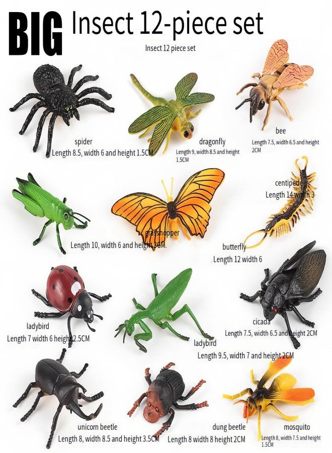 Lynkaye 34 pcs Plastic Insects Lifelike Assorted Figures Realistic Insect Animal Model, Perfect Model for Recognizing Nature (34 Pcs Bugs) - Image 3